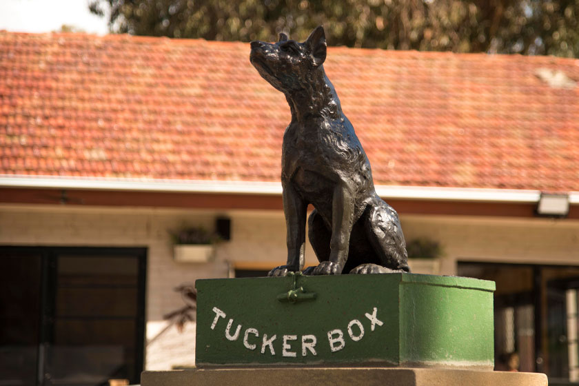 The Dog On The Tuckerbox at Gundagai